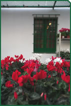 Foto d'una planta d'exterior de Garden La Sínia Foto d'una planta d'exterior de Garden La Sínia