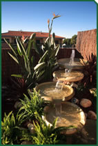 Foto d'un jardí de Garden La Sínia Foto d'un jardí de Garden La Sínia