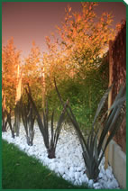 Foto d'un jardí de Garden La Sínia Foto d'un jardí de Garden La Sínia