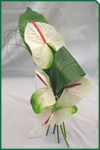 Foto d'una decoració de Garden La Sínia Foto d'una decoració de Garden La Sínia