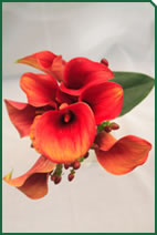 Foto d'una decoració de Garden La Sínia Foto d'una decoració de Garden La Sínia