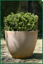 Foto d'un complement de Garden La Sínia Foto d'un complement de Garden La Sínia