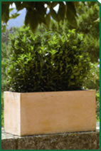 Foto d'un complement de Garden La Sínia Foto d'un complement de Garden La Sínia