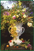 Foto d'una decoració de Garden La Sínia Foto d'una decoració de Garden La Sínia