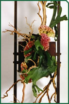 Foto d'una decoració de Garden La Sínia Foto d'una decoració de Garden La Sínia